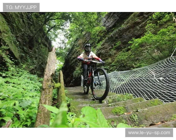 山地速降自行车核心技术要点解析