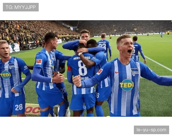 兹沃勒整体实力