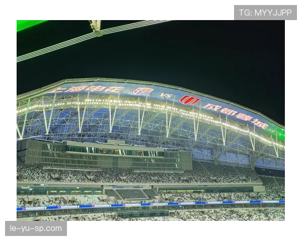 上海申花关键战表现波动趋势明显，阶段性问题逐步反映对赛季走势形成制约